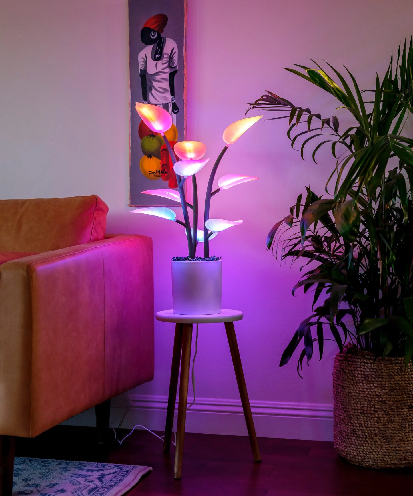 The Magic LED Indoor Plant Light