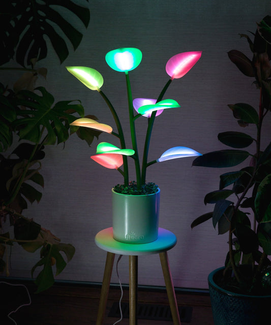 The Magic LED Indoor Plant Light